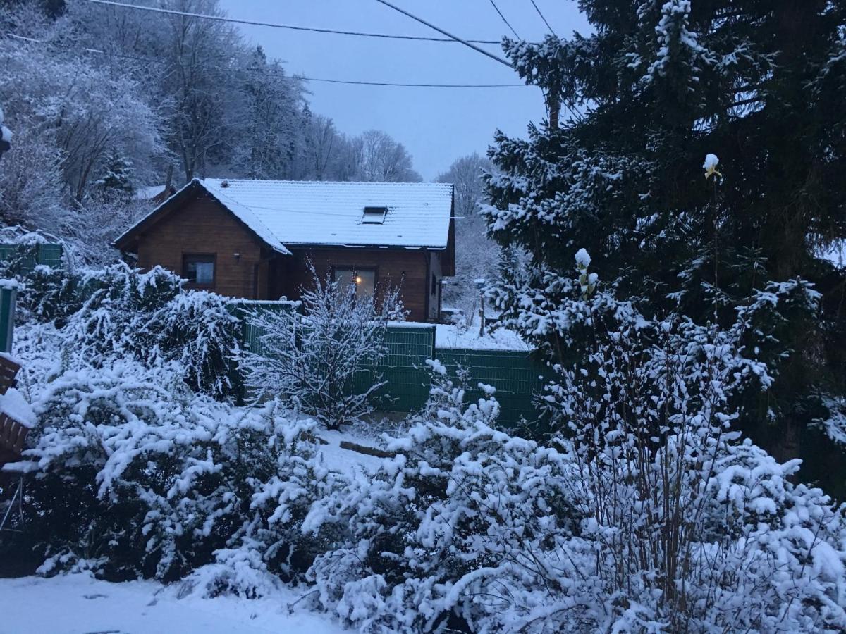 Chalet Du Champs Des Semeaux Wisches Exterior foto